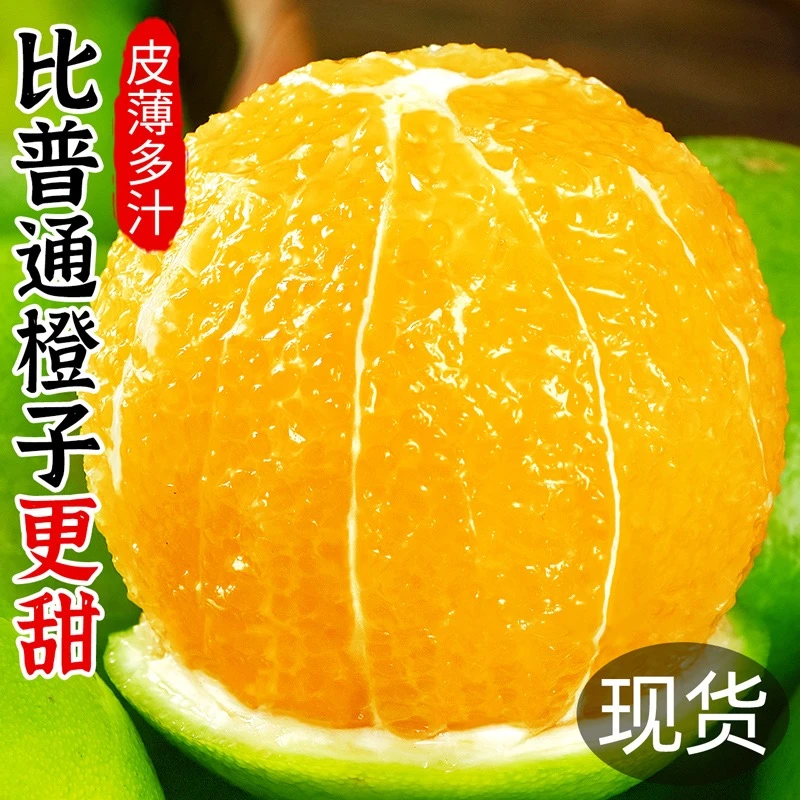 【5斤整箱包邮】正宗冰糖橙大果新鲜现摘青皮橙子当季水果橙子哀牢