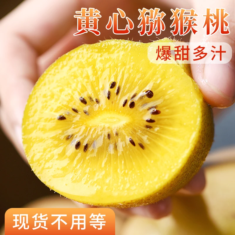 【产地直销】四川黄心猕猴桃新鲜应季水果整箱包邮孕妇奇异果弥猴桃