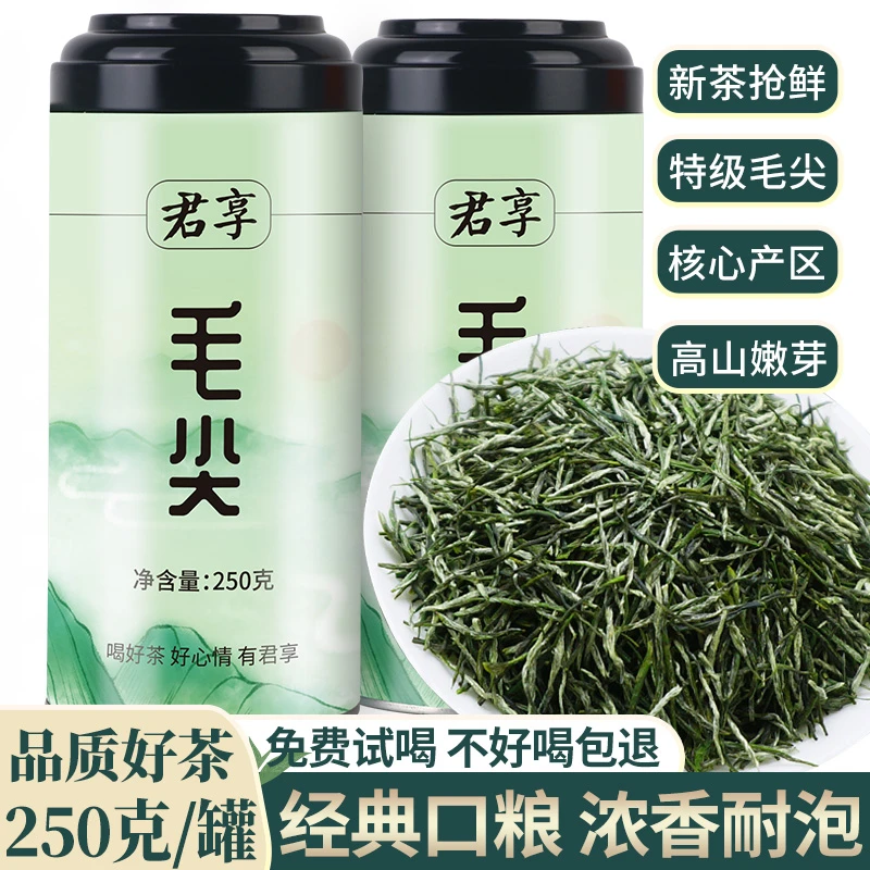 2024新茶毛尖茶叶原产雨前嫩芽浓香型绿茶散装毛尖茶250g