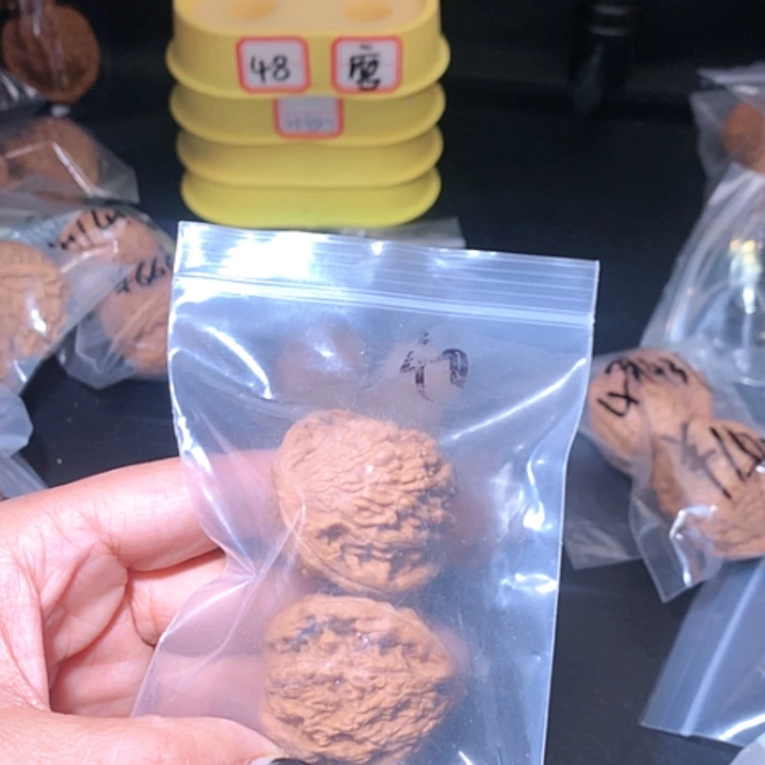 【闪购商品】文玩核桃吊坠?****?