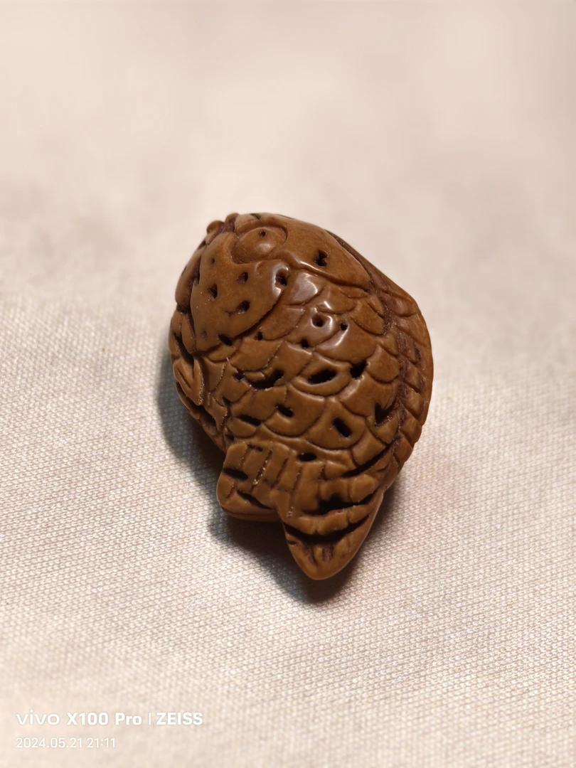 野生毛桃核雕刻小鲤鱼（偏远地区不包邮）