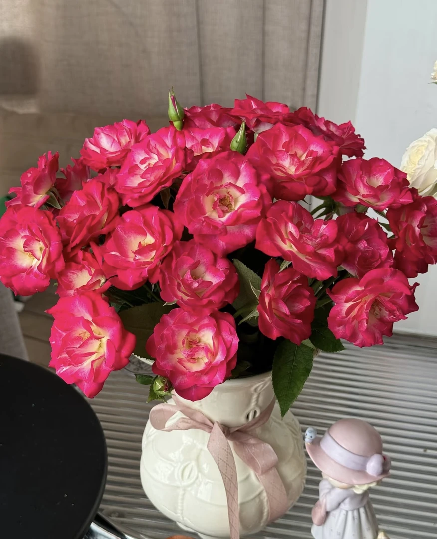 【玖宸花源】银河多头玫瑰 玫红色花瓣 黄色花芯 家庭瓶插花