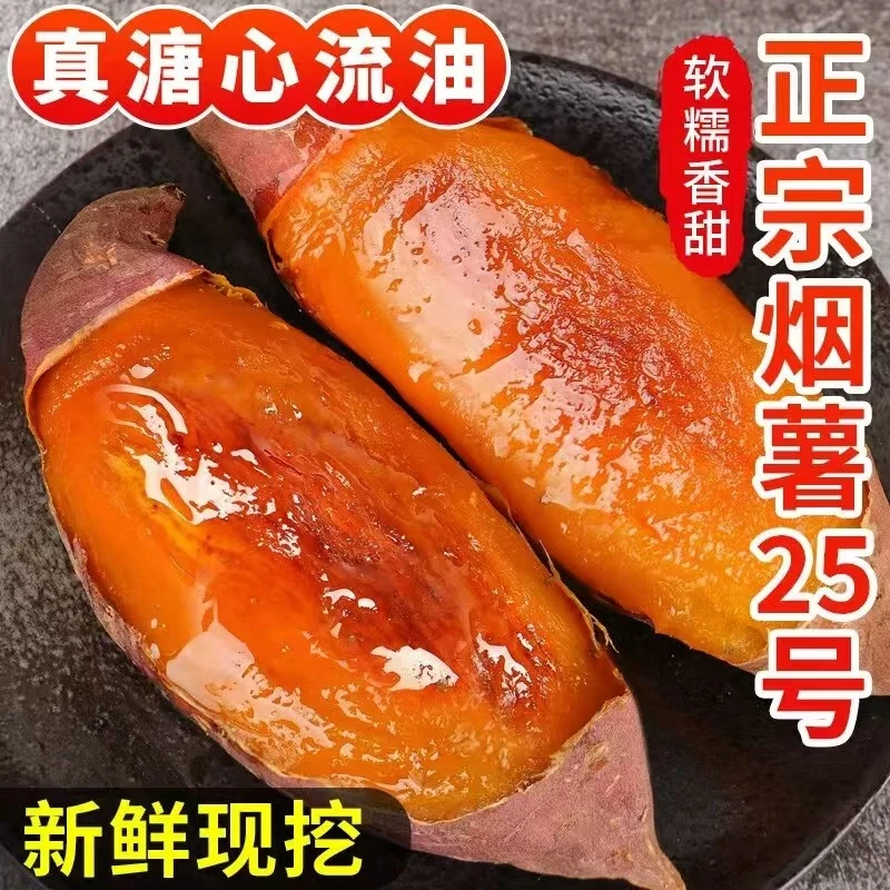正宗烟薯25烤地瓜红薯番薯流油流蜜流糖稀糖化新鲜辅食