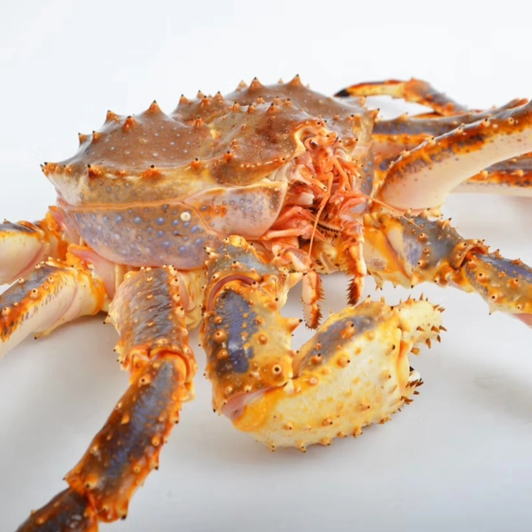 帝王蟹（现场称重）运输到家保鲜不保活 建议勿拍