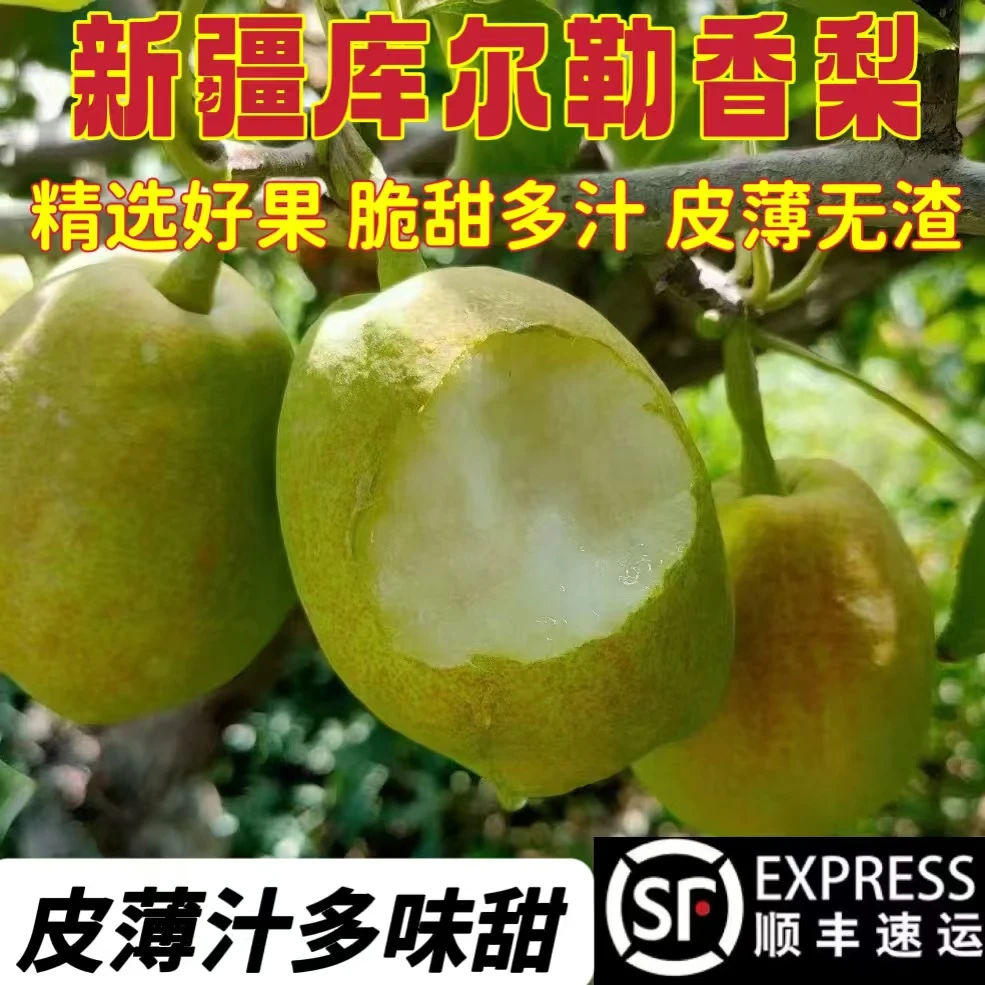 【顺丰】库尔勒香梨100克起 脆甜多汁 新疆水果 5斤 8斤西安仓发货