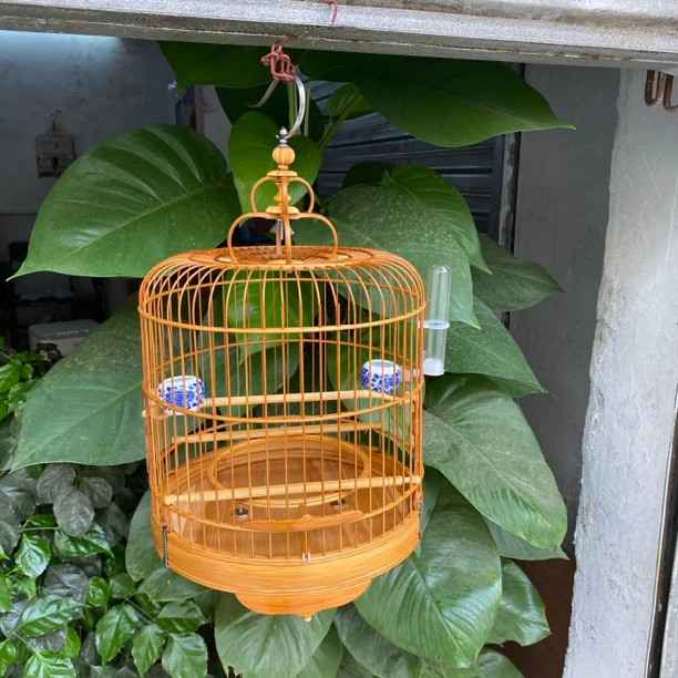 广东鸟笼广式鸟笼绣眼金青小黑白老竹笼