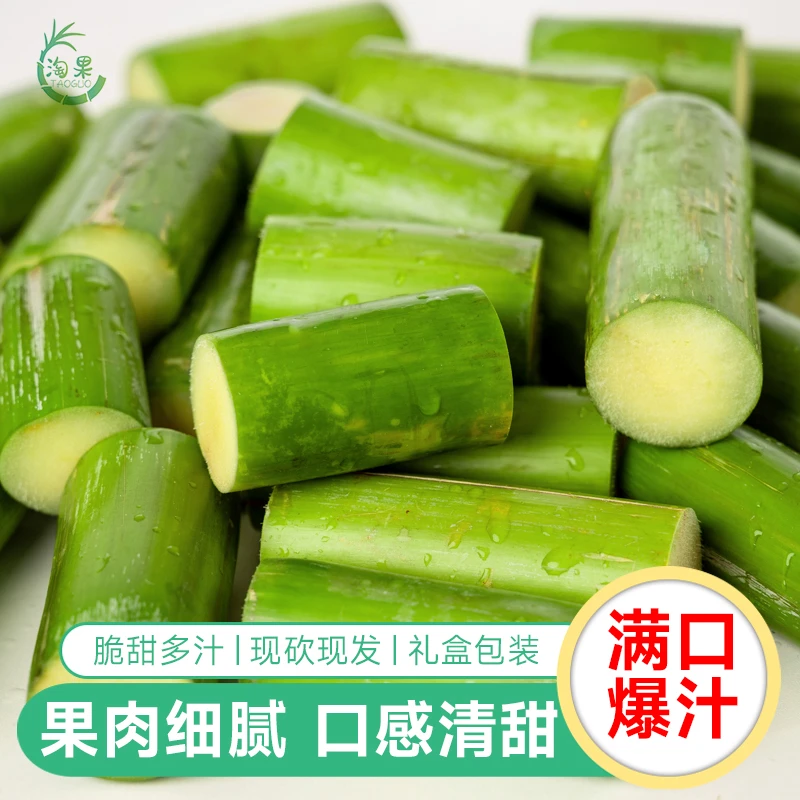 陶山甘蔗新鲜绿皮甘蔗 温州特产一小节果肉青皮甘蔗3-5斤包邮