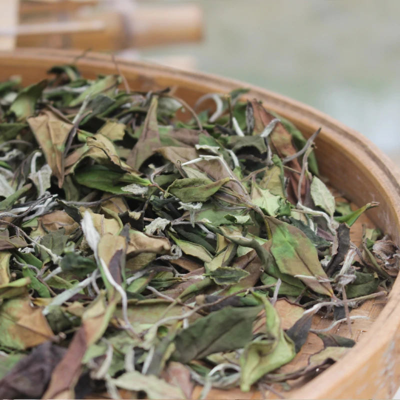 【24日晒白露茶】福鼎白茶管阳高山特级老树花香寿眉新茶300g