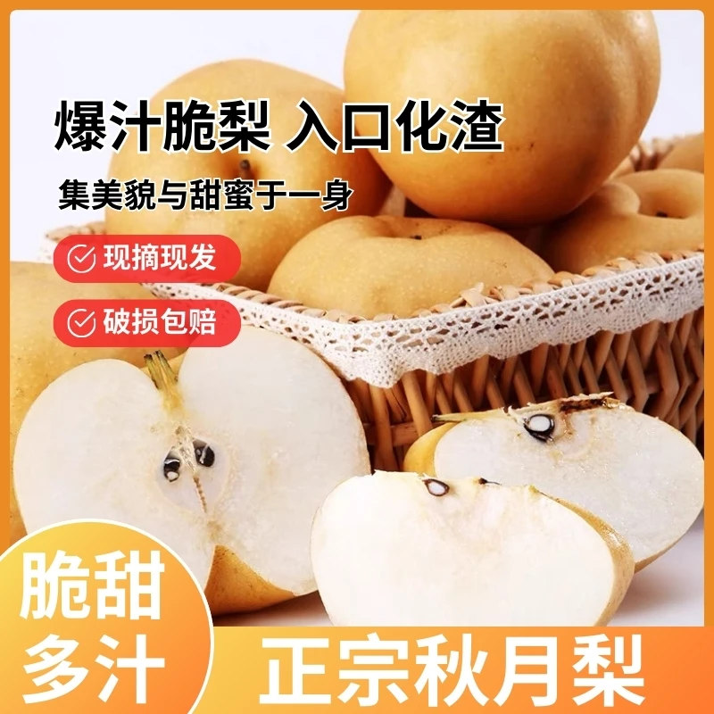 KT 正宗莱阳秋月梨新鲜当季冰糖梨脆甜爆汁