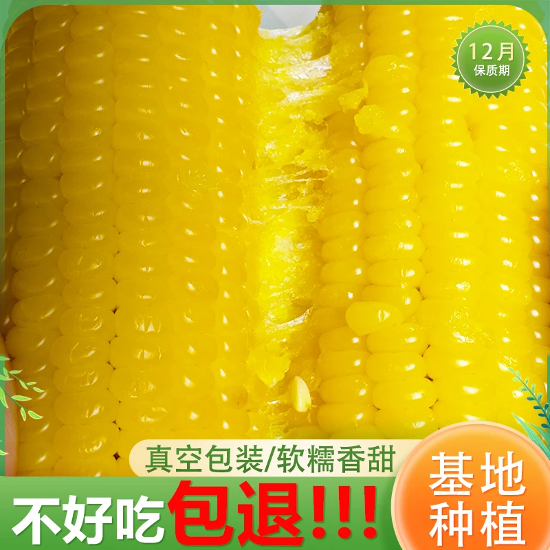 精品糯九220g 拍8发10糯玉米香甜糯玉米早餐软糯香甜新鲜黄糯玉米