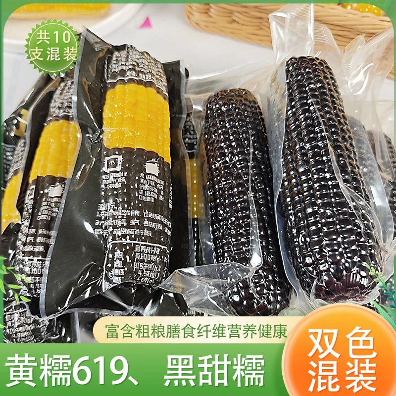黑黄混装5黑5黄619 东北糯玉米 香甜糯早餐软糯香甜 新鲜黄糯玉米