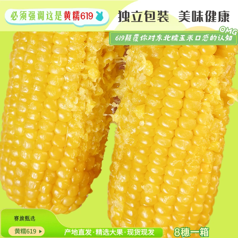 东北糯玉米619精品8穗黄糯玉米软糯香甜营养玉米真空包装新鲜早餐