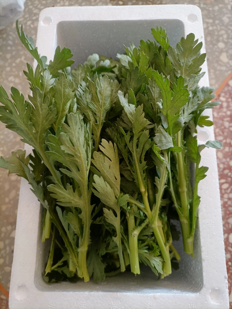 贵州精选现摘新鲜好吃绿色茼蒿菜折箩菜皇帝菜火锅绿色蔬菜青菜