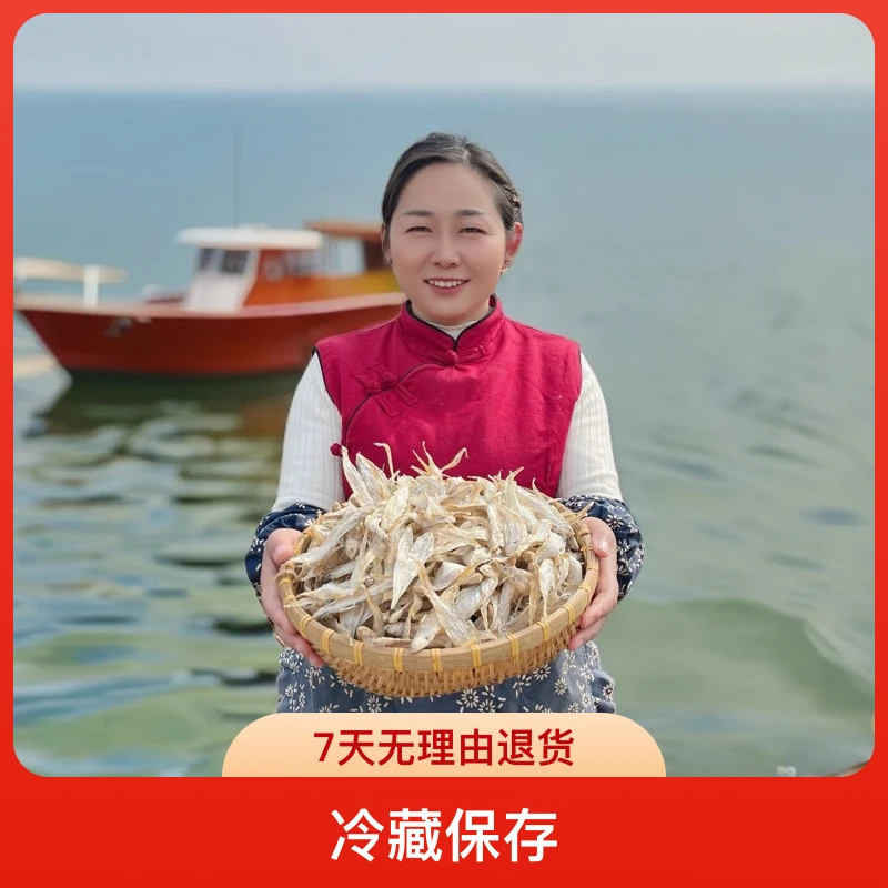 小二妞家2025新毛鱼淡水毛刀鱼