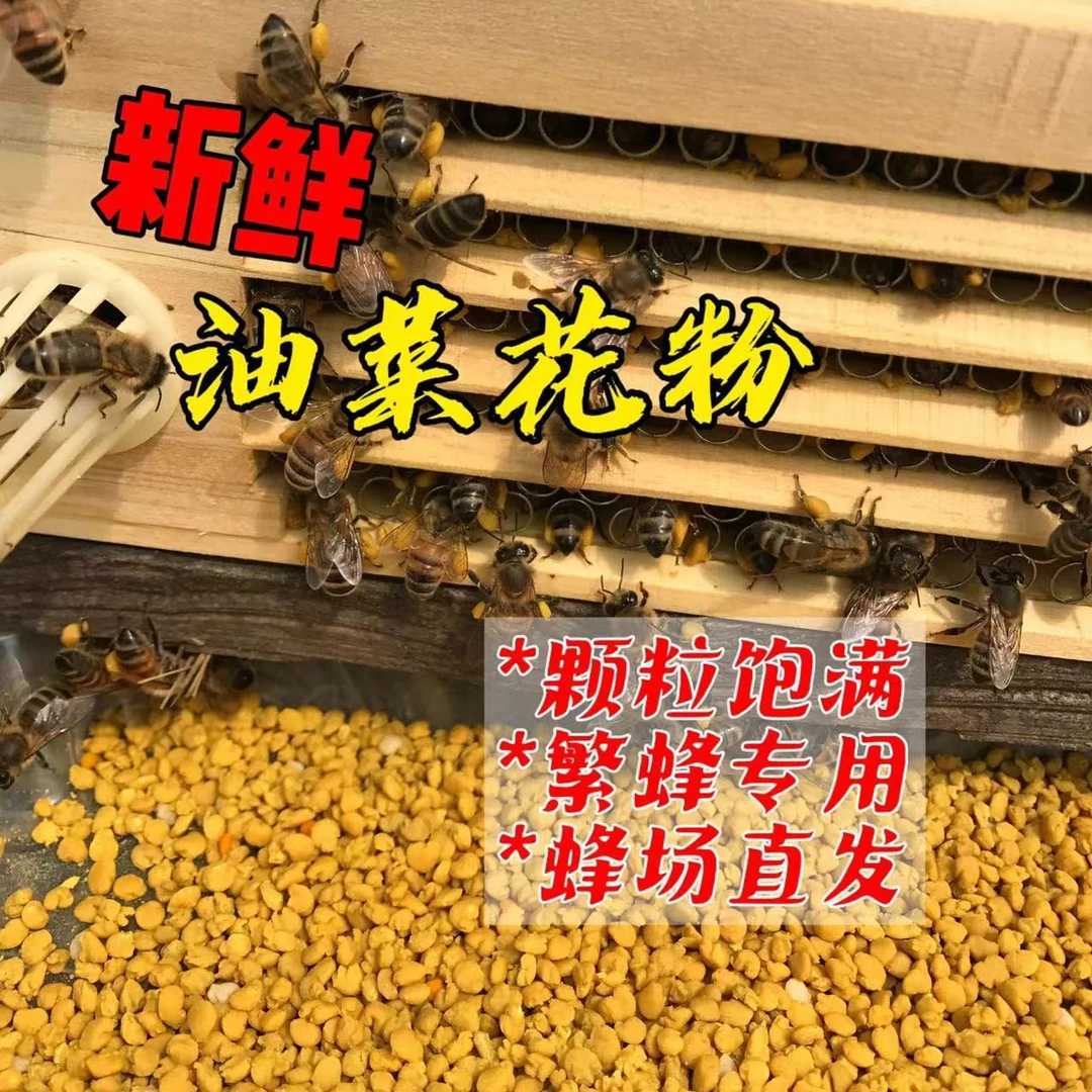 油菜花粉喂蜂 养蜂花粉 中蜂 专用天然蜜蜂饲料花粉颗粒意蜂包邮