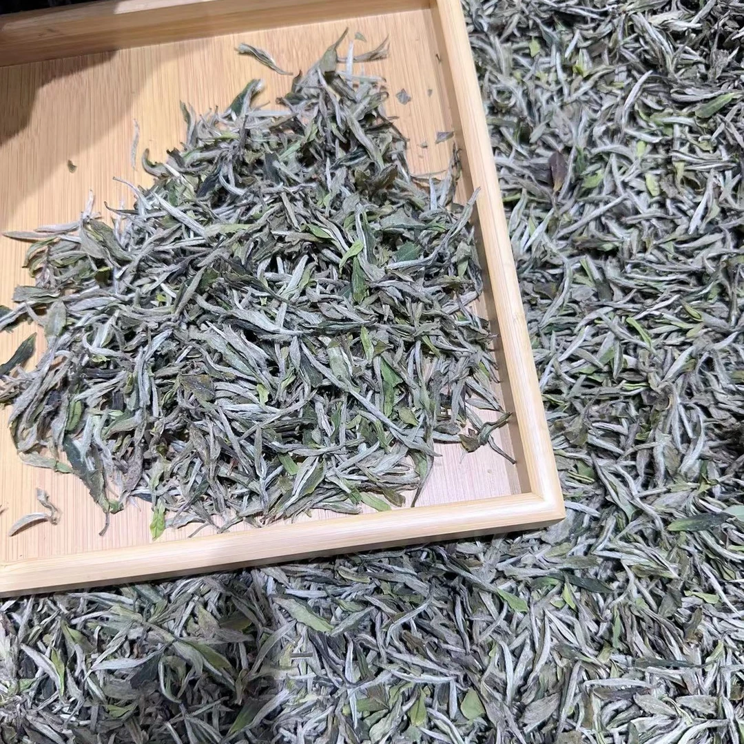 2024年福鼎T级白牡丹牡丹王一芽一叶白茶茶叶