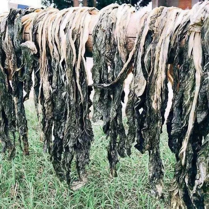 春菜干500g潮汕脱水蔬菜 高丽菜干包菜干包心菜  咸杂