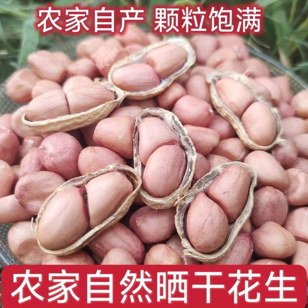 高山农家自种干花生粉皮花生红皮花生当年新花生颗粒挑选味道品种