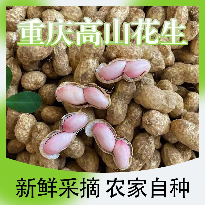 农村自己家种植高山花生当年新鲜采收花生3+2斤小花生红花生粉花