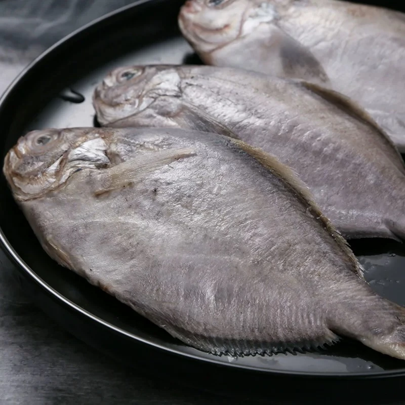 东海野生肉鲳鲜活新鲜冷冻海鲜水产野生深海捕南鲳鱼南昌肉昌鱼！！
