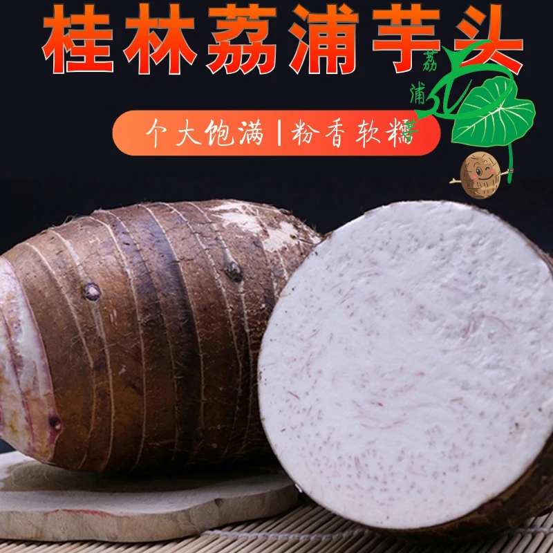 顺丰包邮【桂林荔浦芋头】广西正宗特产大香芋软糯香甜产地新鲜直发
