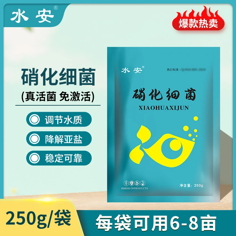 水安硝化细菌浓缩净水澄清水质降解亚盐消化细菌生物改善水质问题