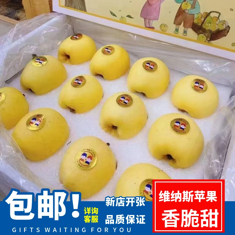 维纳斯黄金苹果云巅金斑新鲜奶油雀斑丑苹果脆甜多汁原箱9-12个