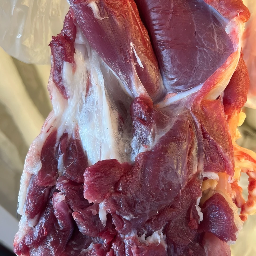 本地山羊肉，干羊肉，新鲜羊肉