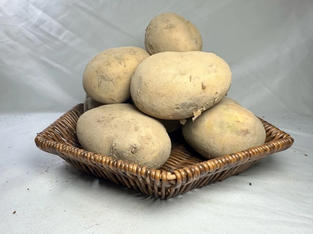 云贵高原土特产【土豆】洋芋马铃薯