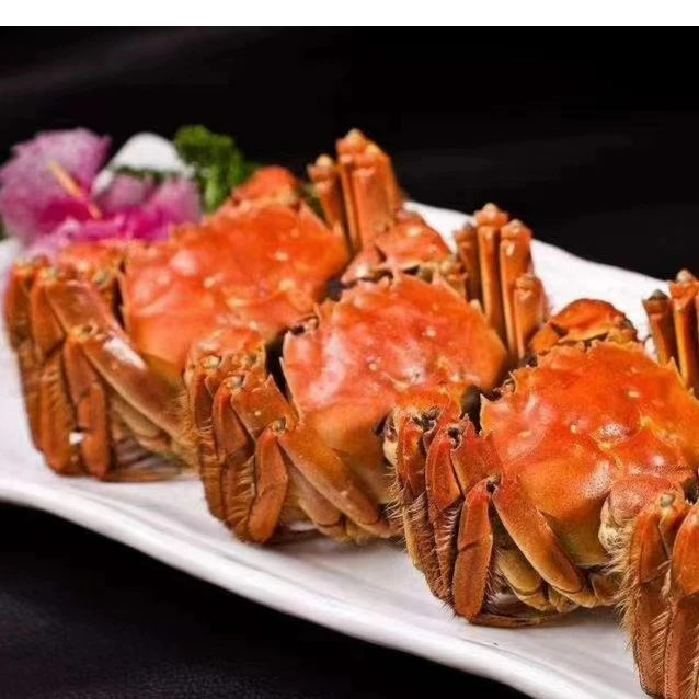 【鲜活大闸蟹(多规格)/只】(带绳)