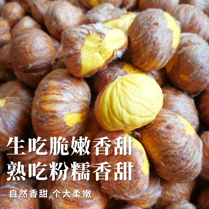 2024精选新鲜高山老树南山板栗去壳软糯香甜果肉饱满珍珠栗桂花栗