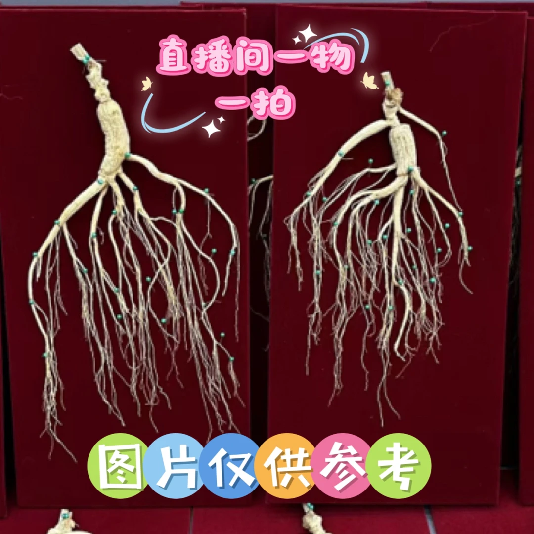吉林长白山林下干人参单颗参搭配精美礼盒