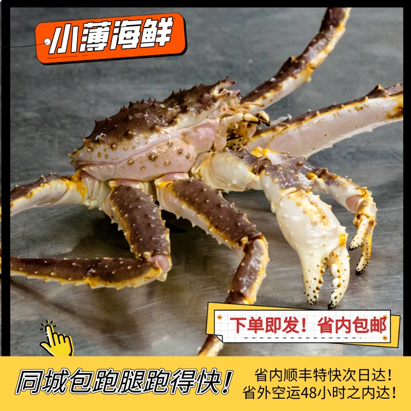 鲜活帝王蟹【现场称重】2-6斤不包活（掉水率5-10%）