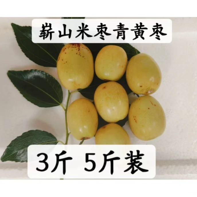 正宗崭山米枣 现摘现发 三台特产 果园直发 青枣 永新米枣