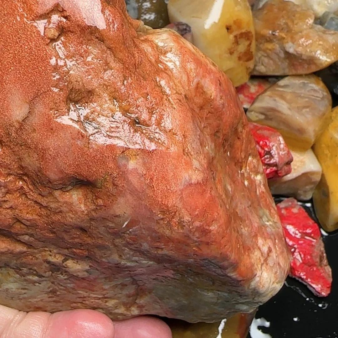 【闪购商品】昌化石用****7