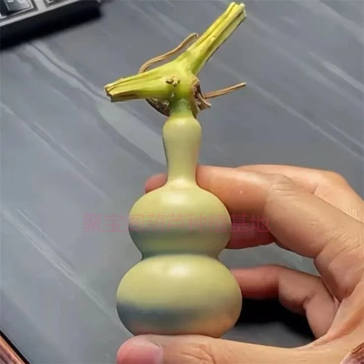 葫芦 精美绝伦的手把件 小美果