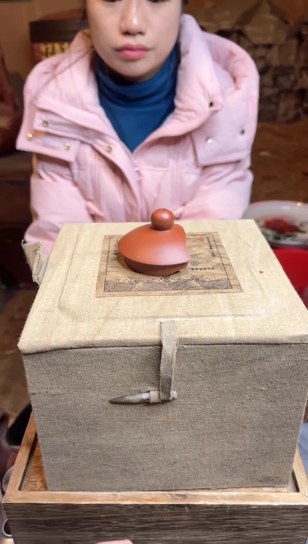 【闪购商品】紫砂茶壶91