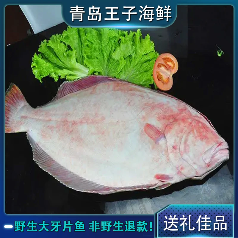 牙片鱼专属 直播现场选重一对一称单 急冻锁鲜 四斤起包邮发货