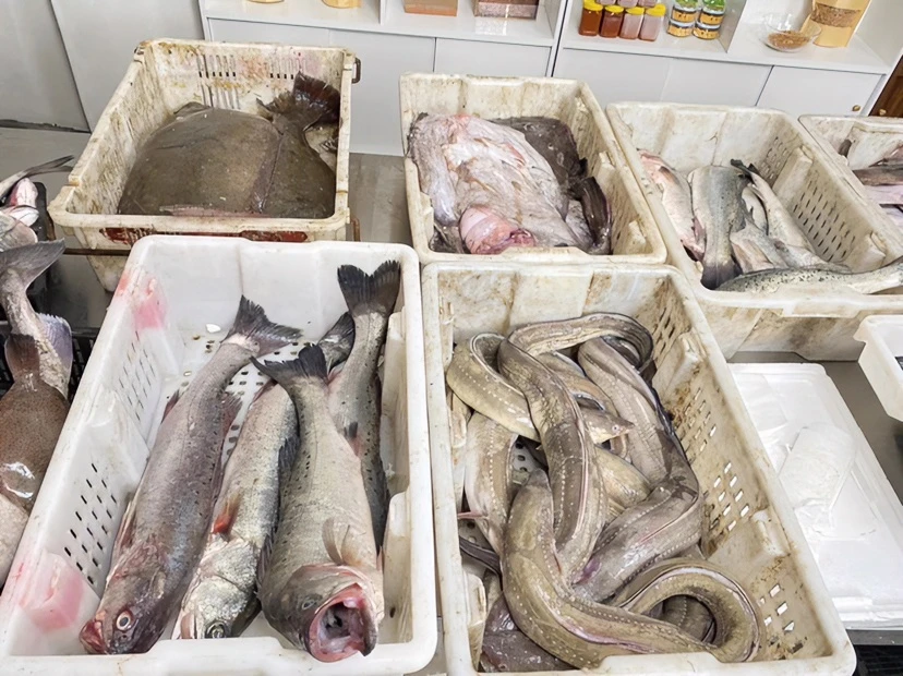 鱼类专属 直播现场选重一对一称单 急冻锁鲜 四斤起包邮