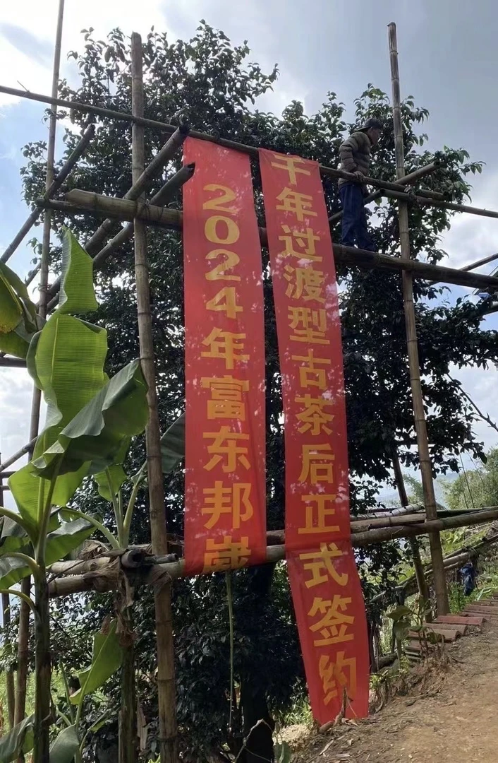 玉萍号· 邦崴千年过渡 散茶  口感凌 冽野性十足 拆封不退