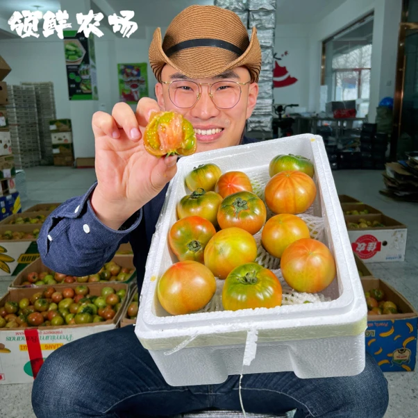 【顺丰包邮】丹东盐碱地铁皮柿子绿腚草莓柿子 孕妇水果番茄3/5斤