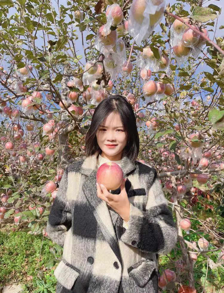 小裴家的运城苹果
