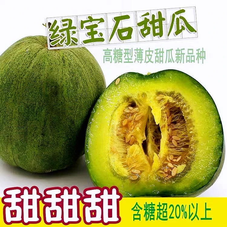 【绿宝石甜瓜种子】适应性强四季种植甜瓜种子春季简单庭院种植