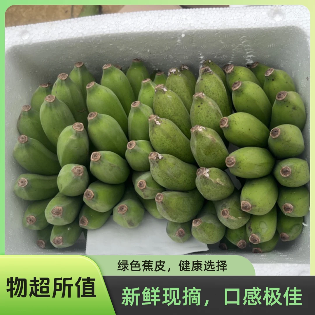 广西农家露天种植小米蕉酸甜可口皮薄肉厚现摘现发新鲜水果