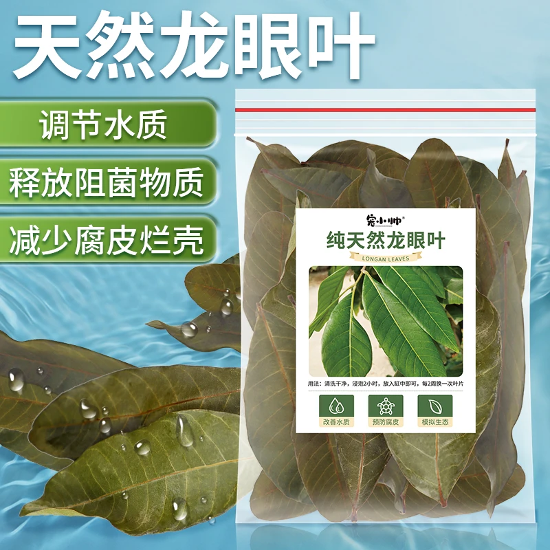 龟缸免煮龙眼叶乌龟防烂甲腐皮调节改善水质平衡生态造景躲避植物