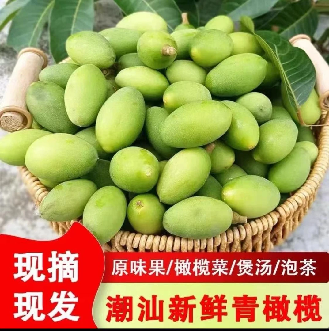 果农直销新橄榄上市2025潮汕青橄榄新鲜采摘煲汤青橄榄生鲜青果