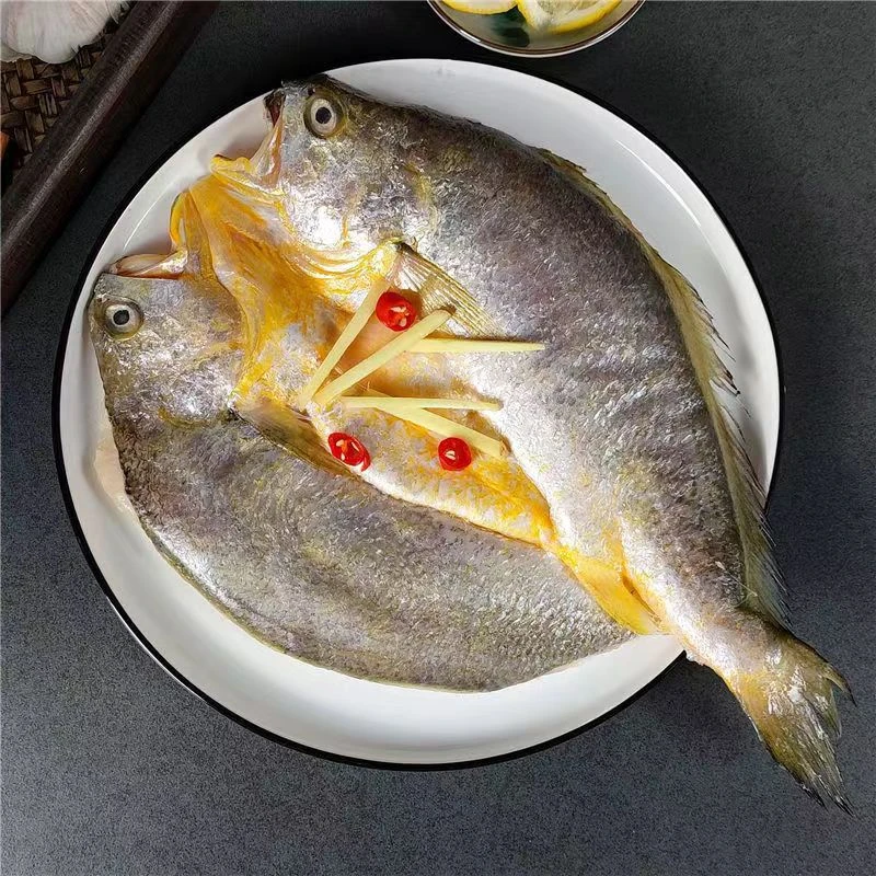 黄鱼多宝鱼鲳鱼带鱼段蛏王肉扇贝肉章鱼足花甲肉鱿鱼耳花海虹