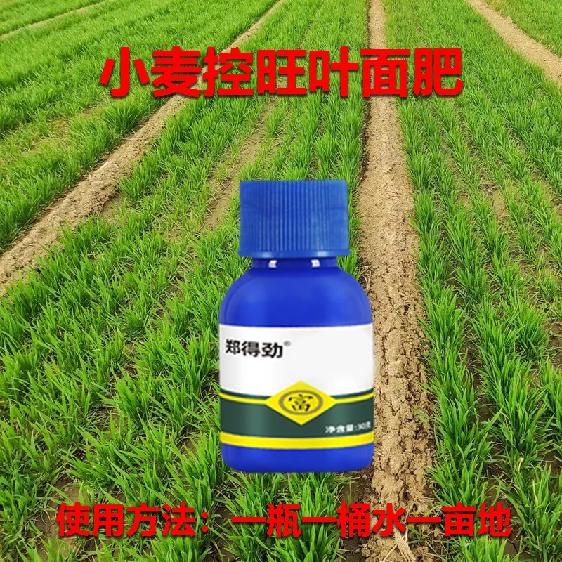 小麦控旺矮壮素叶面肥防治徒长 控制旺长抗倒伏