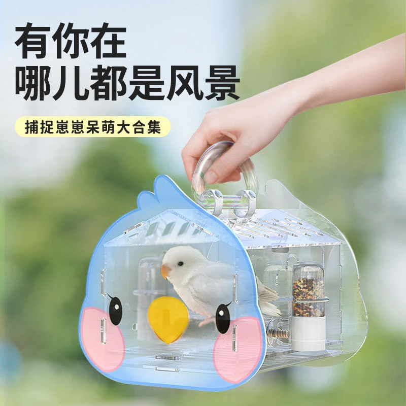 鹦鹉外带笼透明外出笼遛鸟笼虎皮牡丹玄凤观赏亚克力出行便携笼具