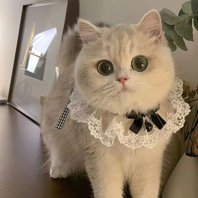 新款猫咪围兜宠物围巾网纱蝴蝶结装饰品项圈狗狗蕾丝口水巾可爱